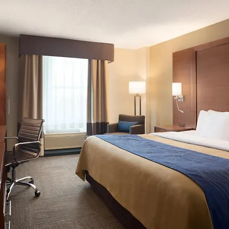 Comfort Inn & Suites Presidential-3