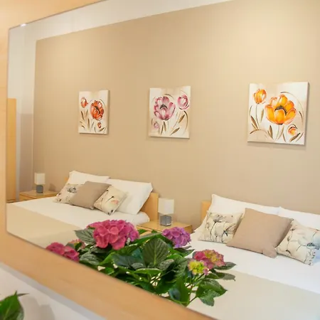 Actinia Accommodation-3