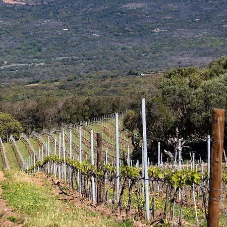 Domaine De Peretti Della Rocca-3