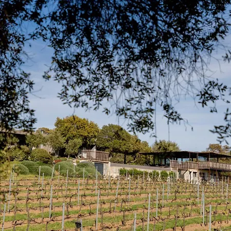 Domaine De Peretti Della Rocca-2