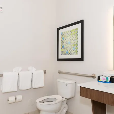 Holiday Inn Express Hotel & Suites Tampa-Usf-Busch Gardens By Ihg-2