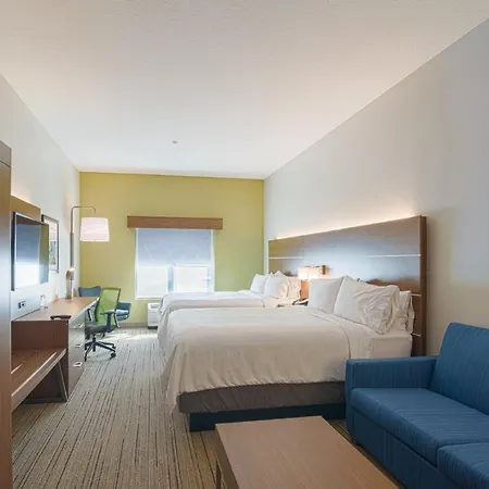 Holiday Inn Express Hotel & Suites Tampa-Usf-Busch Gardens By Ihg-2
