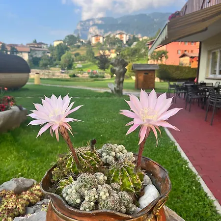 Hotel Garni Relax-2