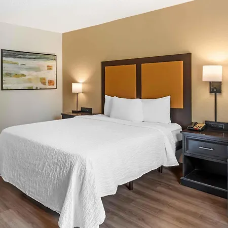 Extended Stay America Suites - Tampa - Airport - Spruce Street-3