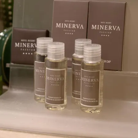 Minerva Resort Hotel-3