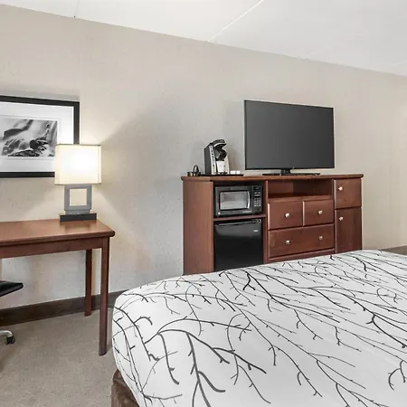 Best Western Plus Coeur D'Alene Inn-3