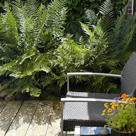 Bed&Breakfast 28 appartement met ruime tuin-2