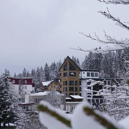 Das Waldhotel - Genuss&Wellness am Notschreipass-2