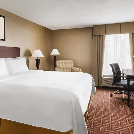 Garner Hotel Brockton - Boston By Ihg-3
