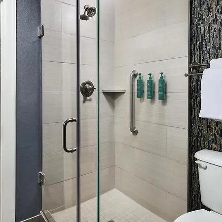 Hotel Alex Johnson Rapid City, Curio Collection By Hilton-3