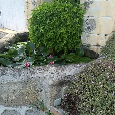 Il Nido del Gabbiano-3