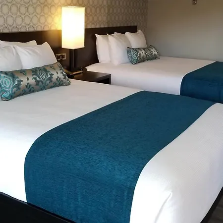The Hotel Y, A Dazzler Select By Wyndham-3