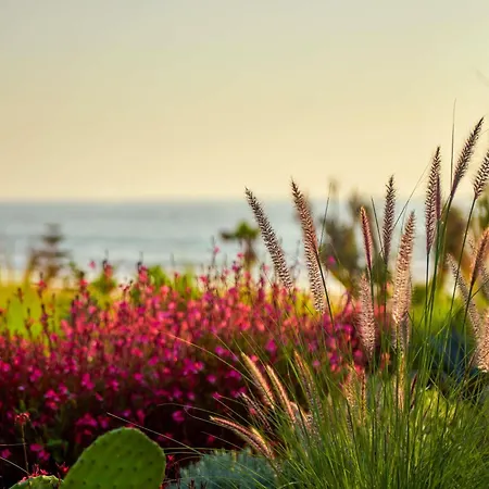 Fairmont Taghazout Bay-3