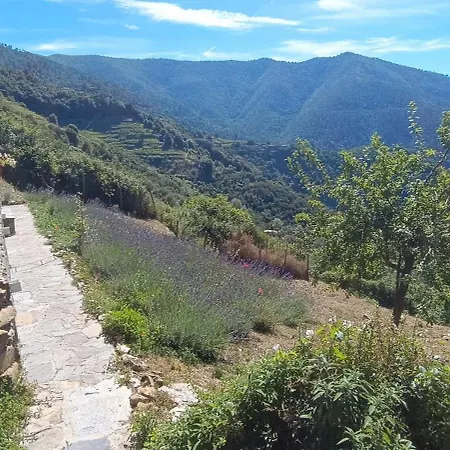 La quiete accesa-3