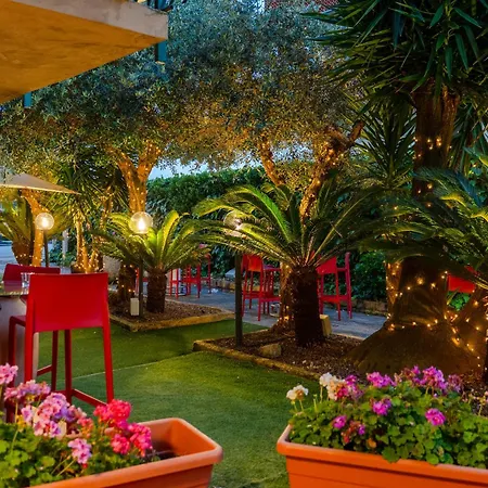 hotel La pineta-2