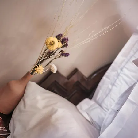 Amani Hotel Suites&Spa-2