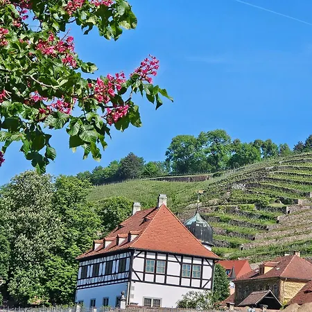 Pension am Elberadweg-3