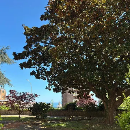 Residencia Universitaria Alto De Miranda - Resisantander-2