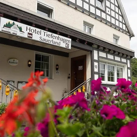 Hotel Tiefenhagen Sauerland-3