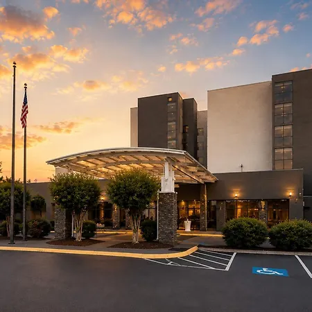 Holiday Inn Johnson City By Ihg-3