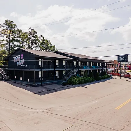 The Iris Motel-2