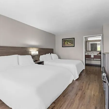 Quality Inn & Suites Ocala I-75-3