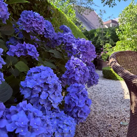 Cozy Boutique B&B De Roos&Garden Lounge-3