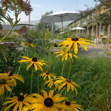 Amsterdam Farm Lodge-3