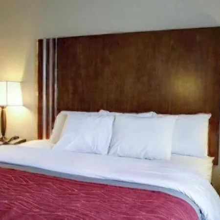 Comfort Inn & Suites Navasota-3