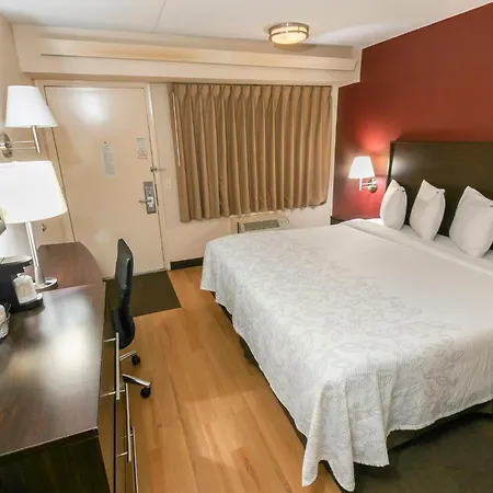 Red Roof Inn Plus+ Washington Dc - Alexandria-3