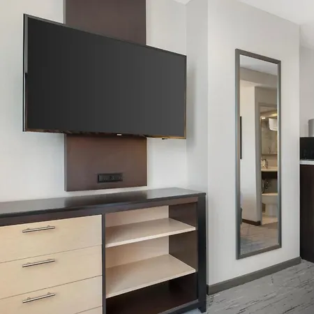 Holiday Inn Express Denver Downtown By Ihg-3