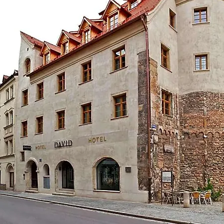 Hotel David an der Donau-3