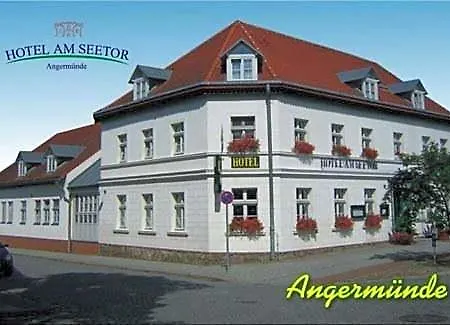 Hotel am Seetor-2