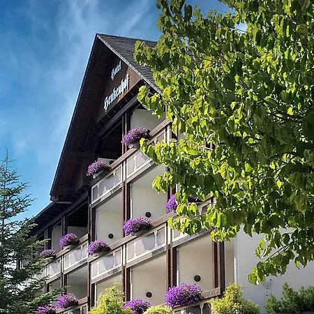 Landhotel Henkenhof Willingen-3