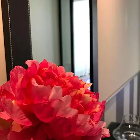 Novahotel-3