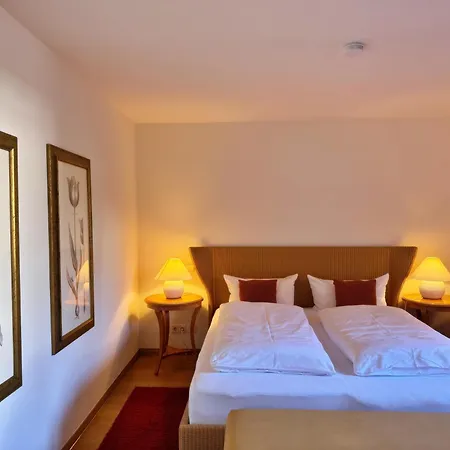 Gasthof Blume Offenburg Hotel&Restaurant-3