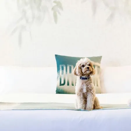 W Los Angeles - West Beverly Hills-2