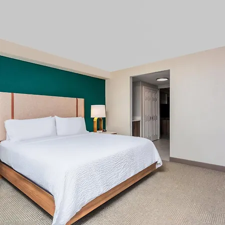 Holiday Inn Hotel & Suites Daytona Beach On The Ocean By Ihg-2