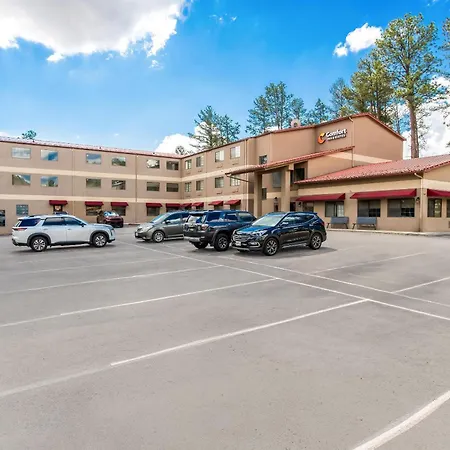 Comfort Inn & Suites Midtown-2