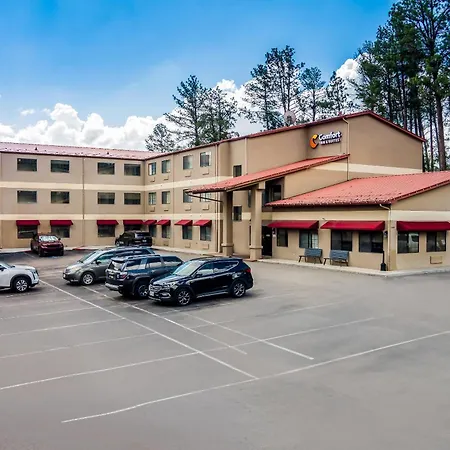 Comfort Inn & Suites Midtown-3