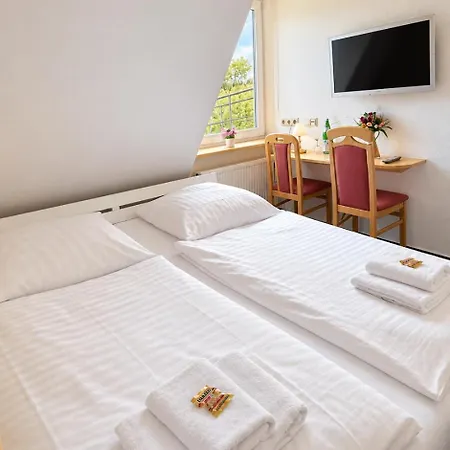 Hotel Steinerne Renne Garni-3