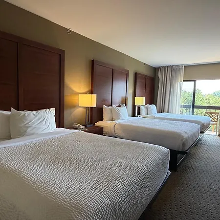 Vista Suites Near Island And Leconte Convention Center-2