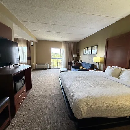 Vista Suites Near Island And Leconte Convention Center-3