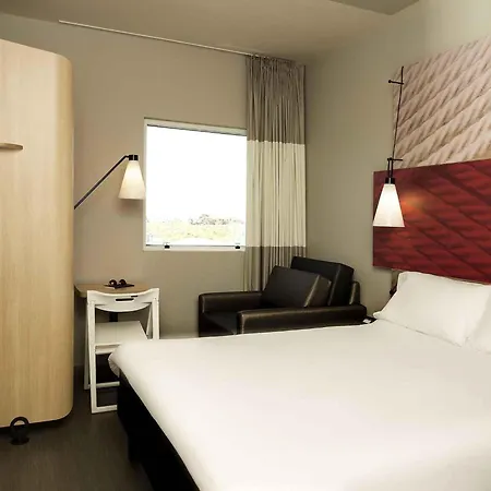 Ibis Paranagua-3