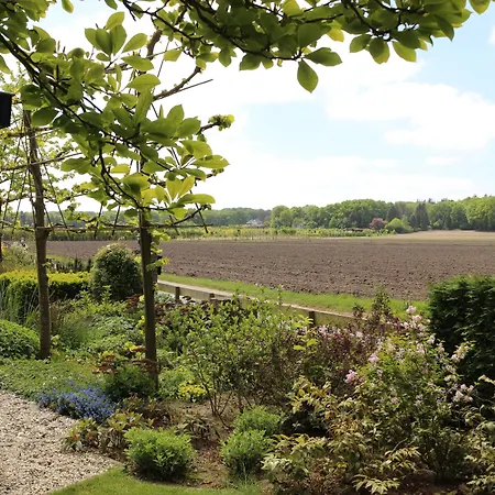 B&B Bovenweg-2