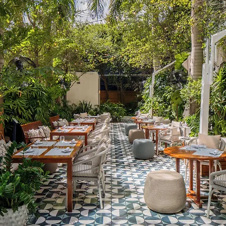 Mr. C Miami Coconut Grove-3