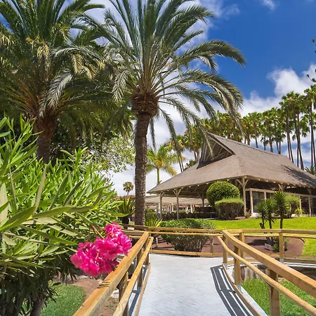 Barcelo Margaritas Royal Level Adults Only-2