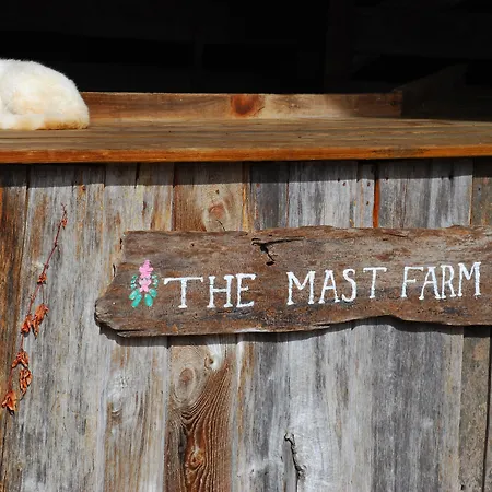 The Mast Farm Inn-2