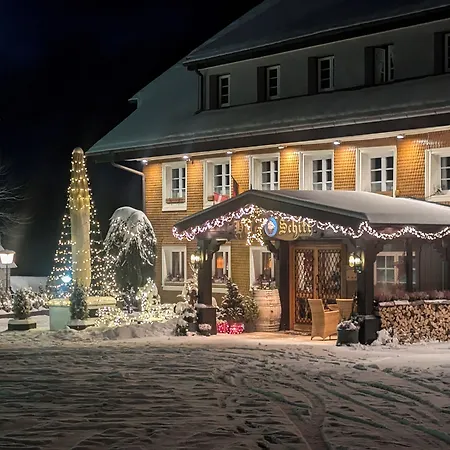 Hotel Schiff am Schluchsee-2