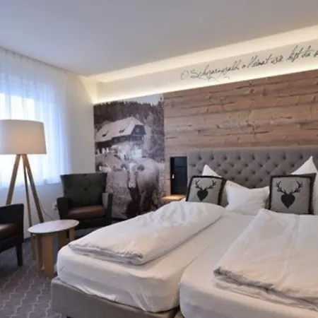 Hotel Hirschen-2